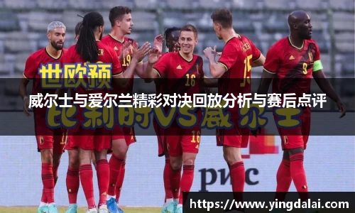 威尔士与爱尔兰精彩对决回放分析与赛后点评