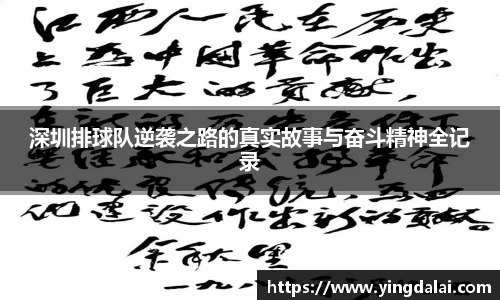 深圳排球队逆袭之路的真实故事与奋斗精神全记录