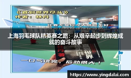 上海羽毛球队精英赛之路：从艰辛起步到辉煌成就的奋斗故事