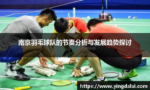南京羽毛球队的节奏分析与发展趋势探讨