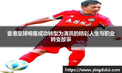 WE真人视讯官网